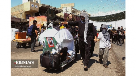 (VIDEO) La città di Najaf alla vigilia dell'Arbaein