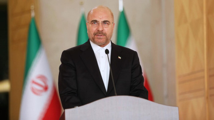 د نیواکي فلسطین بدلونونه د سپیڅلي دفاع کلتور د تحقق بیلګه دي 