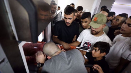 Jeshi la Israel lawaua shahidi Wapalestina 4 Gaza, Ukingo wa Magharibi