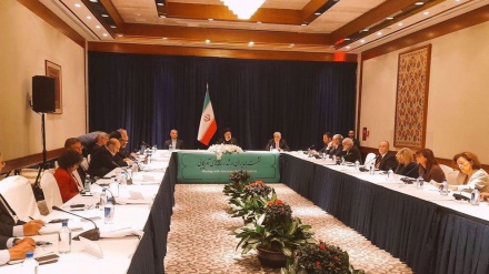 Готовность Ирана расширить сотрудничество с американской шиитской организацией