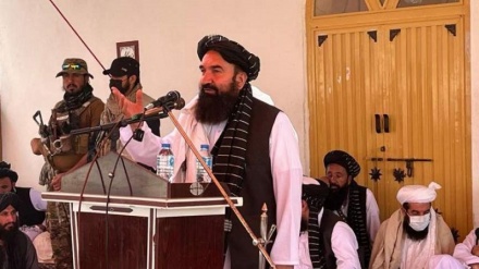 وزیر فرهنگ طالبان: تحصیل نسل جدید، موجب بقای ما می‌شود 