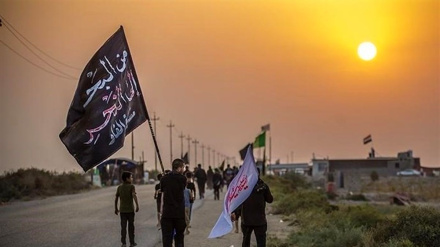 Bağdad: İndiyədək İraqa 3,5 milyon zəvvar daxil olub