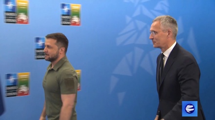 Законодатели задали главе НАТО вопрос о целесообразности поддержки войны в Украине