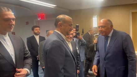 שרי החוץ של איראן ומצרים קראו להידוק היחסים בין שתי המדינות