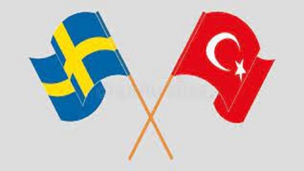L'arresto di diversi cittadini svedesi in Turchia