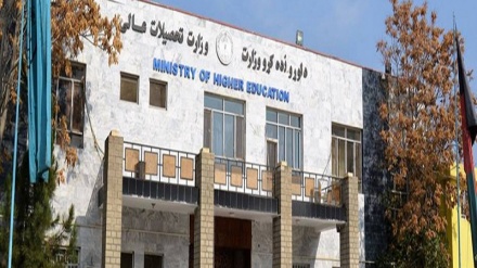 وزیر تحصیلات عالی و وزیر مالیه طالبان برای چاپ اسناد تحصیلی دانشجویان تفاهمنامه امضا کردند