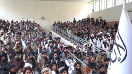 د افغانستان ولس یو موټی دی نور جزیات په دغه راپور کښې لرو