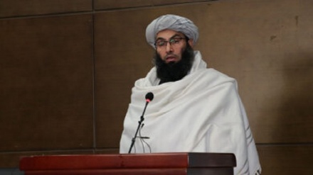 خالد حنفی: در حکومت طالبان به زنان حق میراث و انتخاب همسر داده شد