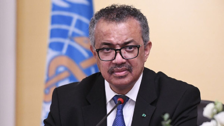 Осуждение Всемирной организацией здравоохранения жестокого нападения сионистского режима на госпиталь в Газе