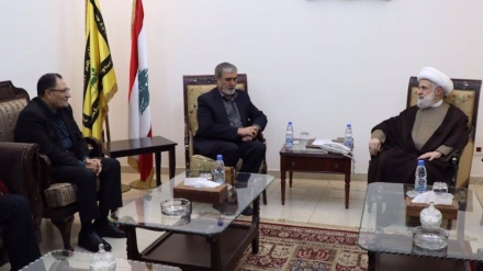  Cowardly Israel too weak to win Gaza ground offensive: Top Hezbollah official 