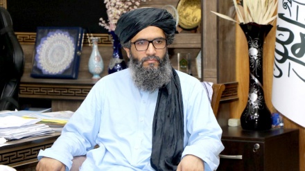  انتقاد مجدد طالبان از سکوت کشورهای اسلامی در برابر جنایات رژیم صهیونیستی  