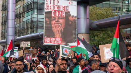 Митинги сторонников Палестины в Бразилии и Ливане