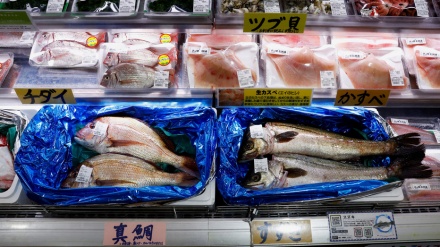 ロシア、中国海産物市場で日本に取って代わる地位を追求