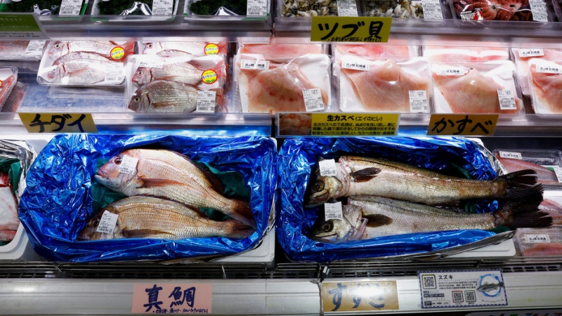 日本の水産物