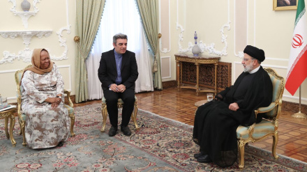 د نړیوالې سولې په ساتلوکې د امنیت شورا رول ته نور امید نشته 