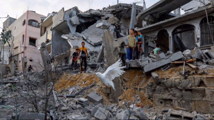 Kommandeur des Islamischen Dschihad bei israelischen Luftangriffen auf Gaza getötet