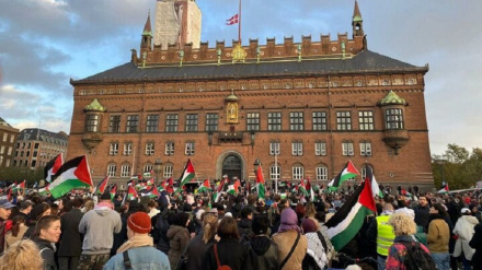 Demonstranten in Dänemark und der Schweiz verurteilen Israels Verbrechen gegen Palästinenser