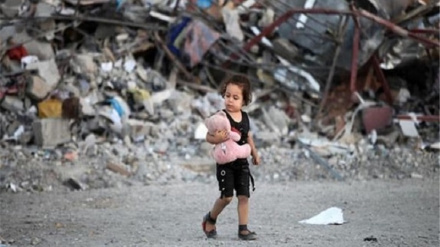 هر ساعت ۱۲ کودک در غزه به شهادت می رسند