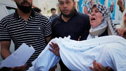 Сионистік режимнің шабуылынан 2329 палестиналық қаза тапты