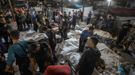  Israel opened up gates of hell to itself with Gaza atrocities: Qalibaf 