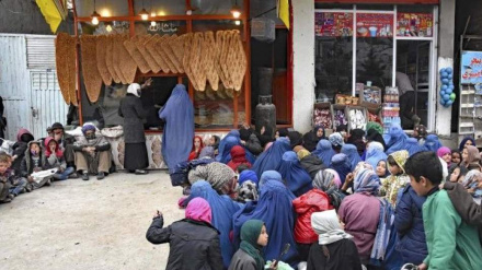 د افغانستان ۱۵ میلیون خلک نه پوهیږي چې راتلونکی خواړه به له کوم ځای راځي