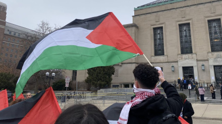 Поддержка десятков обществ Гарвардского университета палестинского народа