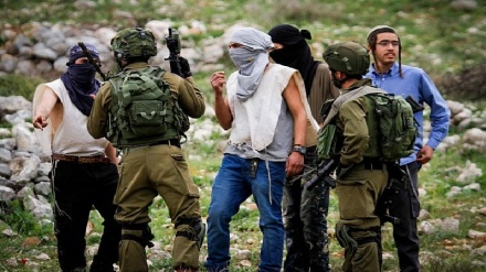 עשרות מתנחלים חצו את גדר ההפרדה ופרצו אל כפר פלסטיני סמוך