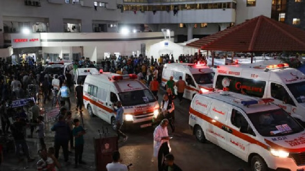 השתיקה הרועמת של מועה