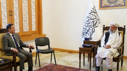 طالبان خواستار سرمایه‌گذاری ژاپن در معادن افغانستان شد 