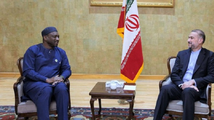 Abdollahian: Kuna udharura wa fikra za pamoja ili kukabiliana na kuvunjiwa heshima matukufu ya Kiislamu