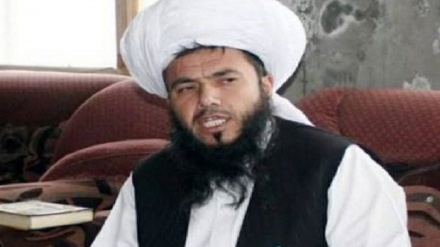 طالبان نماینده پیشین مجلس افغانستان را بازداشت کردند