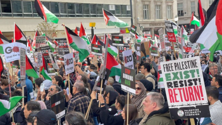 В ЮАР проходят очередные демонстрации в поддержку угнетенного народа Палестины
