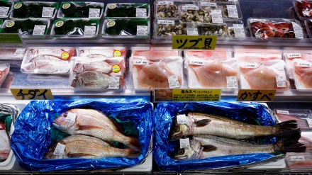 ロシアが日本産魚介類の輸入に暫定制限措置、　16日から