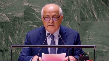 Palestinian envoy to UN: 70% of 7,000 civilian martyrs are women and children