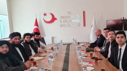 په ترکیه کې د افغان کډوالو د ستونزو د حل په موخه یو ګډ کمیسیون جوړ شو