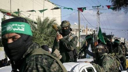 伊朗总统赞扬巴勒斯坦抵抗运动击退犹太复国主义对加沙的地面攻击