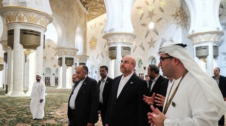 Kunjungan Ketua Parlemen Iran ke UEA (3)