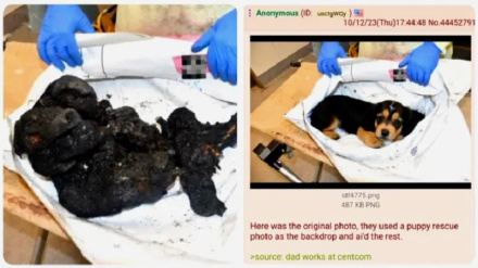 Ni mbwa, si mtoto.. Mwandishi habari wa Marekani afichua uongo wa Netanyahu, madai ya Hamas kuua watoto