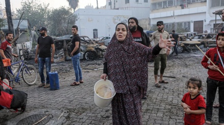 Представительство Ирана в ООН: США несет ответственность за продолжение войны против Палестины, наложив вето на резолюцию Совбеза