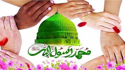 (VIDEO) L'anniversario della nascita del Profeta Muhammad (SAW)