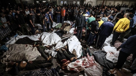 Holocaust Sejati dengan Mesin Pembantai Israel terhadap Gaza
