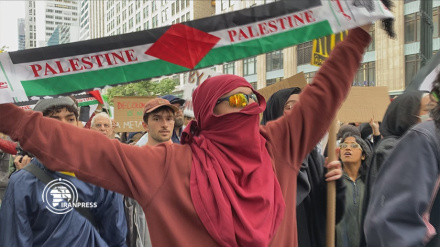 巴勒斯坦支持者在纽约示威