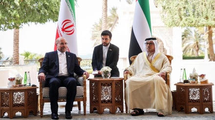 Развитие отношений в экономических и политических сферах и в сфере безопасности в центре внимания встречи Галибафа и вице-президента ОАЭ