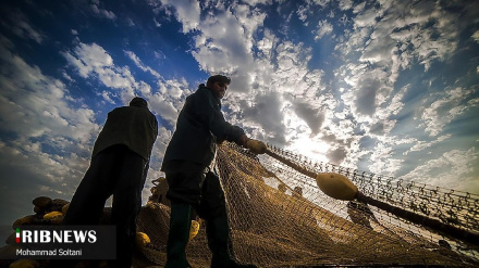 (FOTO DEL GIORNO) Caspio, e' la stagione della pesca