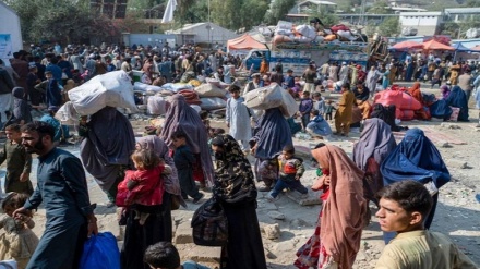 ازدحام در مرزهای افغانستان و پاکستان در آخرین مهلت بازگشت مهاجران افغان