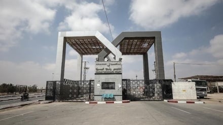 דיווחים בארה