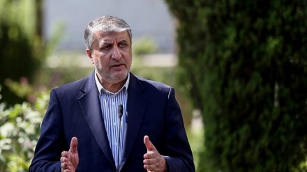  伊朗原子能组织主席：被驱逐的国际原子能机构视察员有进行政治行为