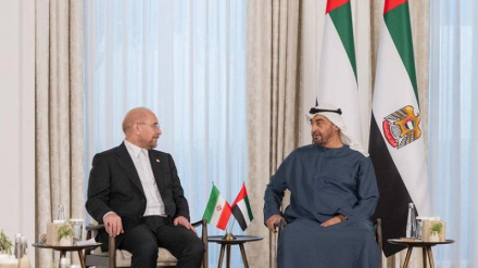 Abu-Dabide Galibaf Birleşen Arap Emirlikleriniň prezidenti bilen duşuşdy