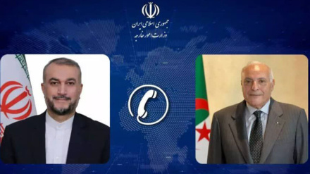 Главы МИД Ирана и Алжира акцентировали прекращения преступлений сионистского режима против палестинцев Газы