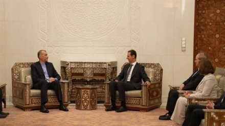 叙利亚总统巴沙尔·阿萨德会见阿米尔·阿卜杜拉希扬时表示：必须阻止犹太复国主义政权在加沙犯下的罪行
